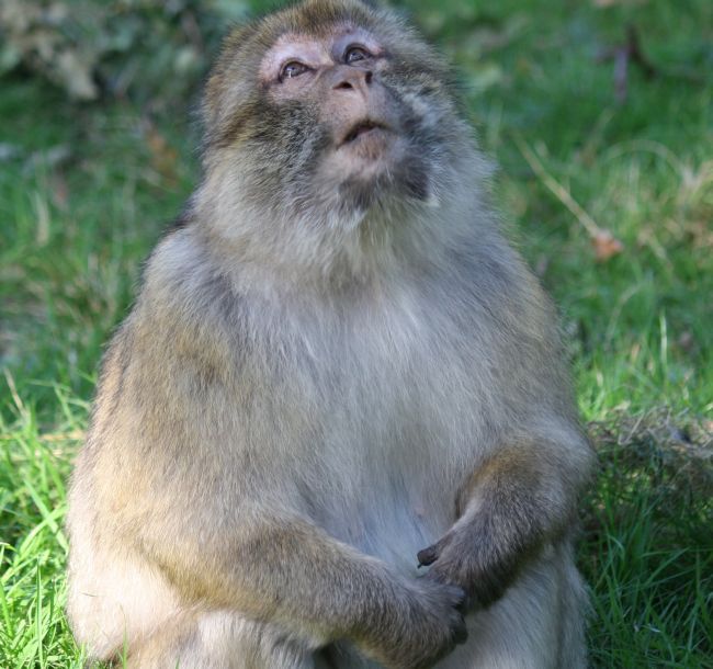 Der Naturzoo in Rheine